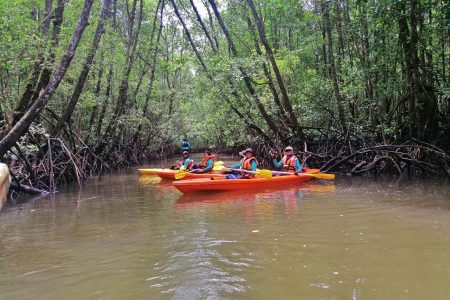 Cherating Mangrove Kayaking and Planting CSR