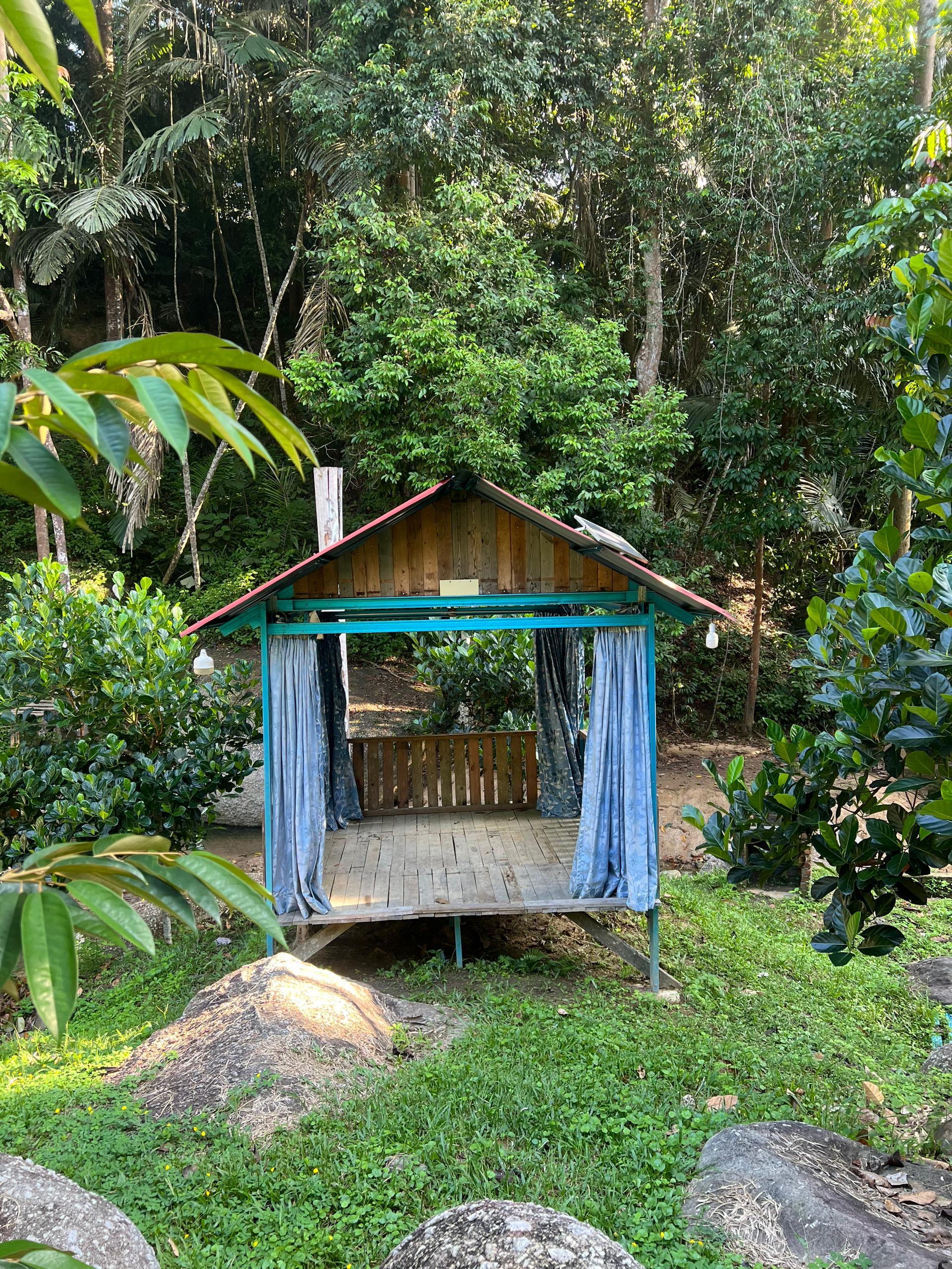 Traditional Forest Hut (Enclosed Space)