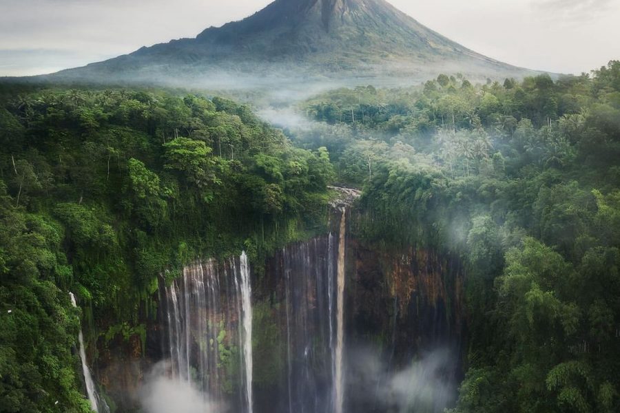 4D3N East Java Wonders